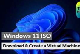 Windows 11 Pro 22000.258 Virtual Machine (VMware)